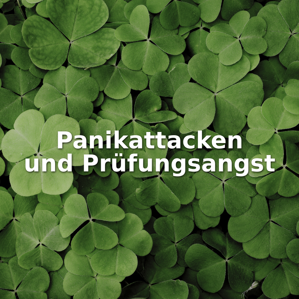 Panikattacken und Prüfungsangst