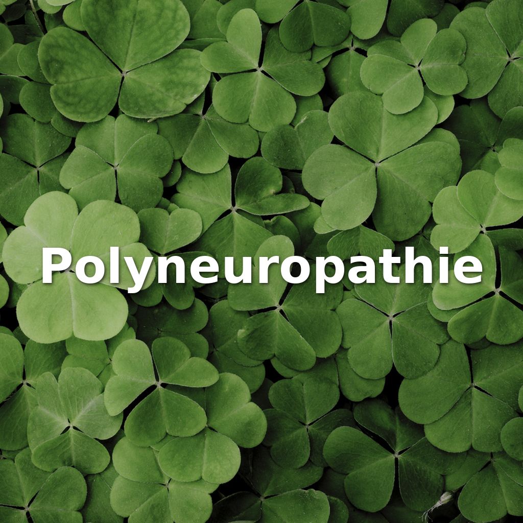 Polyneuropathie
